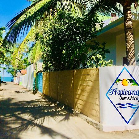 Tropicana Home Stay Arugam Bay Exterior photo