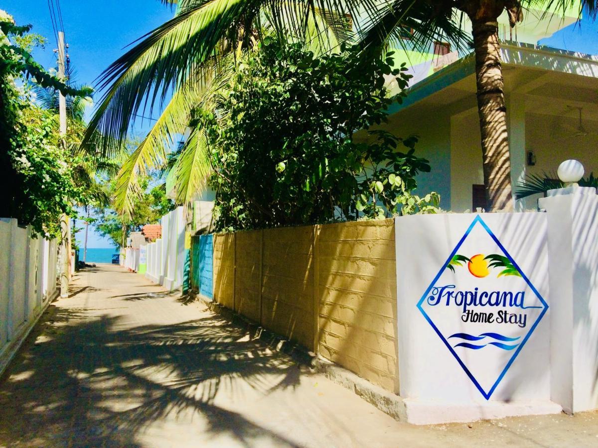 Tropicana Home Stay Arugam Bay Exterior photo